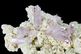 Beautiful, Amethyst Crystal Cluster - Las Vigas, Mexico #165624-2